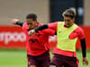 Firmino, van Dijk, Diaz: full Liverpool injury list and potential return matches - gallery 