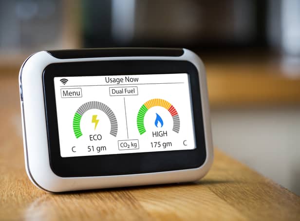 <p>Smart metres have become a familiar sight in many homes</p>