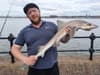 Sharks and octopus spotted in River Mersey as estuary enjoys ‘remarkable recovery’