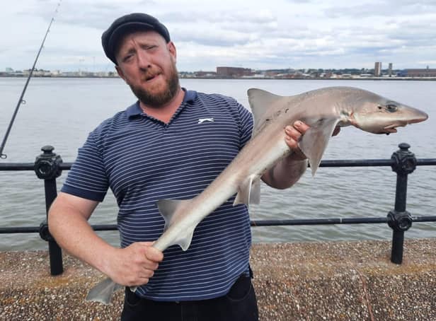 <p>Ben Coba with a starry smooth-hound shark caught in Seacombe. Credit: Wirral Sea Angling Academy</p>