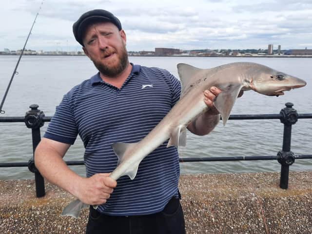 Ben Coba with a starry smooth-hound shark caught in Seacombe. Credit: Wirral Sea Angling Academy