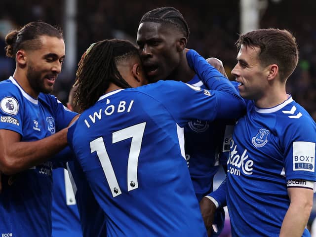 Everton face a battle to retain their Premier League status. Picture: Alex Livesey/Getty Images