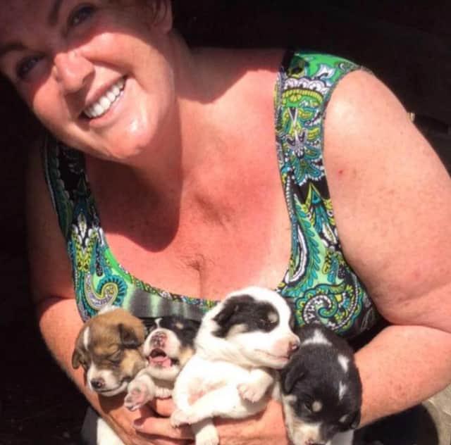 Linda has helped save hundreds of pups.