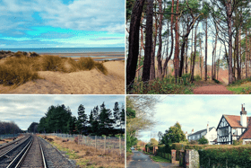 This family stroll takes in pinewoods, sand dunes, rare wildlife and ends at a secluded beach with stunning views.
