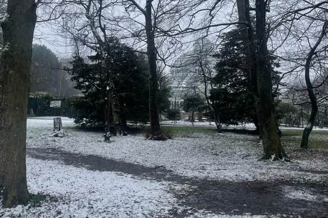 Snow in Sefton Park. Image: Emily Bonner