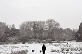 Dog walkers in the snow at The Arno near Birkenhead in north west England (Photo: AFP via Getty Images)