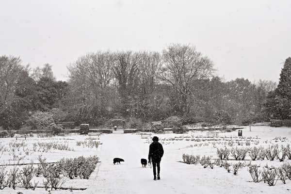 Dog walkers in the snow at The Arno near Birkenhead in north west England (Photo: AFP via Getty Images)