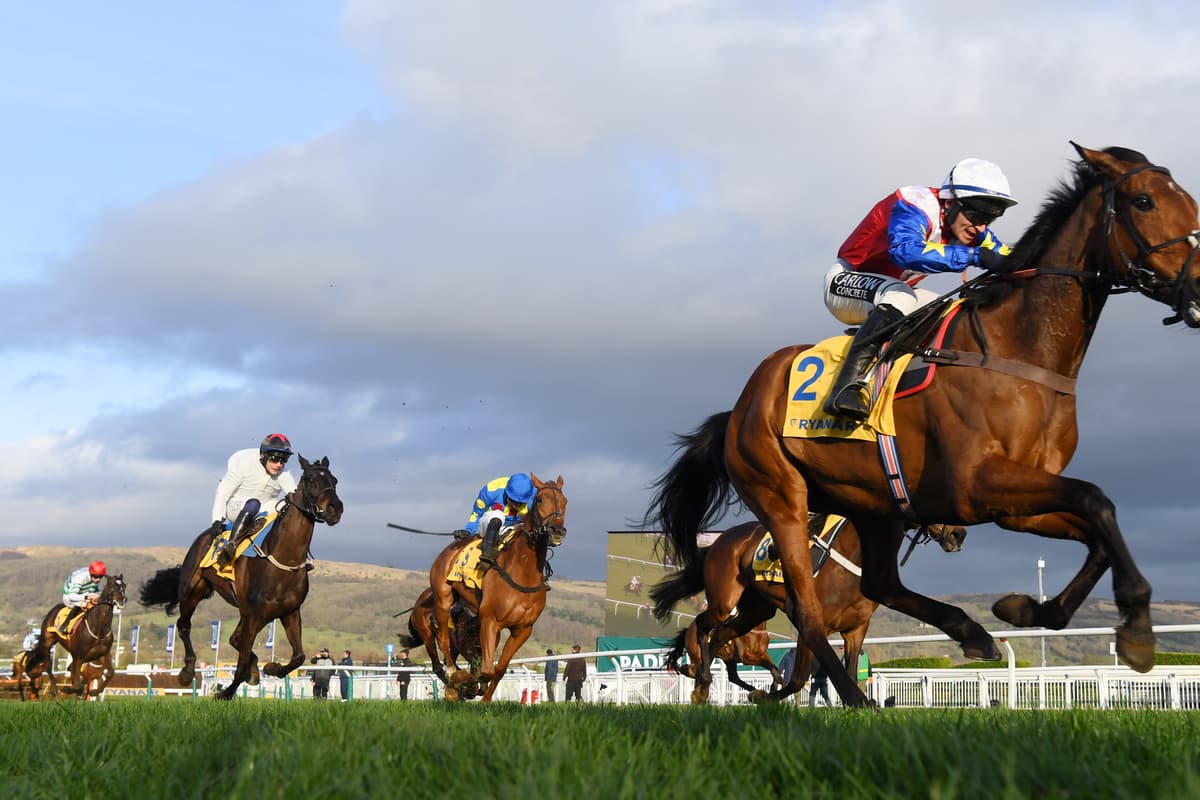 Cheltenham Mario Races How to watch Cheltenham Races 2023: TV channel & livestream