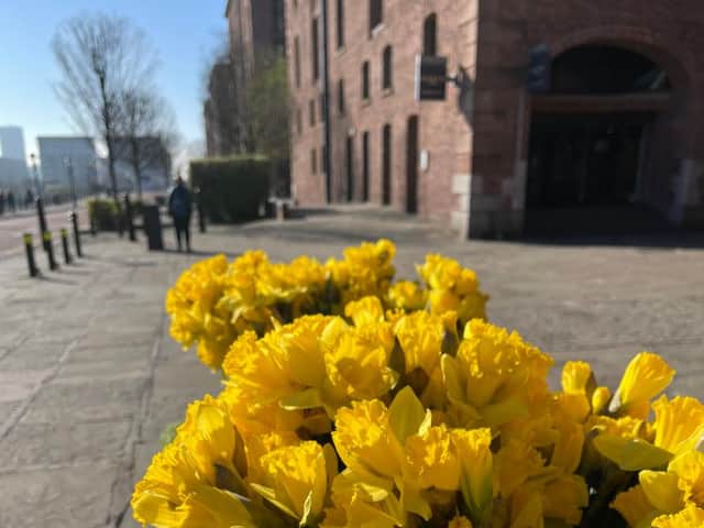 Daffodils at Royal Albert Dock. Image: Royal Albert Dock