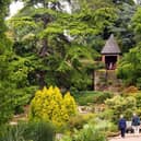 Ness Botanic Gardens is home to 64 acres of diverse landscapes and plants filled with wildlife. Image: Wikimedia