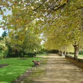 Wavertree Botanic Garden and Park is a mid-19th century public park, with Grade II listed status. The beautiful park features a walled garden and children’s play area. 