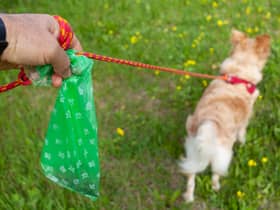 Liverpool is one of the UK’s dog fouling hotspots. Image: francescodemarco/Adobe