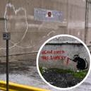 A picture of Banksy’s ‘Love Plane’ and the disputed Rat graffiti. 
