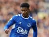 Demarai Gray news could allow Everton to finally complete move for £20m winger