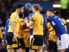 Wolves vs Everton team news: seven players ruled out and four doubtful - gallery