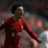 Liverpool’s Curtis Jones celebrates scoring a goal