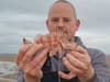 ‘Very rare’ venomous deepwater fish found near popular Merseyside beach