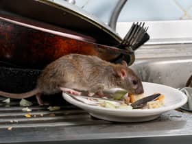 Liverpool City Council tackled 10,373 rodent infestations in 2022.