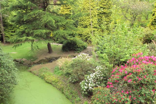 Sefton Park is a well-known beauty spot in Liverpool but, one of its standout features has to be the Fairy Glen. The little nook is surrounded by greenery and flowers, and features a lovely waterfall. The peaceful and secluded section of the park is truly wonderful. 