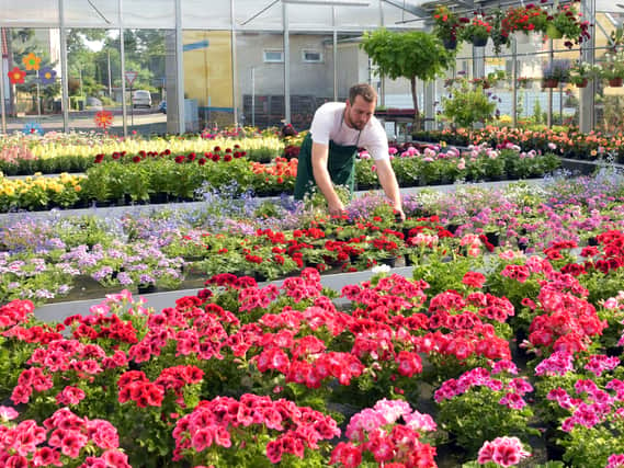 These are the best garden centres around Merseyside, according to Google Reviews. Image: Adobe