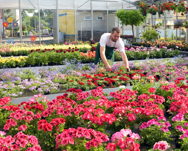 These are the best garden centres around Merseyside, according to Google Reviews. Image: Adobe