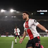 Che Adams. Picture: Getty Images 