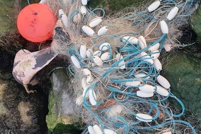 A porpoise entangled in a net in December 2021. Credit: Chris Cureton
