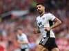 Fulham braced for hammer double blow for Everton clash amid big Aleksandar Mitrovic update