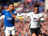 Everton vs Fulham team news: six played ruled out and two doubtful for opener - gallery