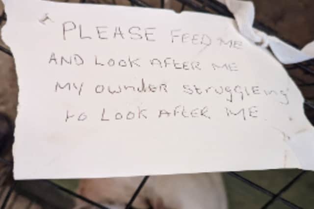 The RSCPA found this dog with a sad note on his cage. Photo by RSPCA.