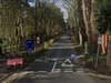 Man dies after crashing Mercedes into trees at Formby pinewoods