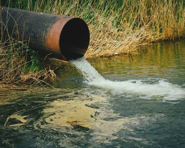 Draining sewage from pipe into river. Image: freeman83 - stock.adobe.com