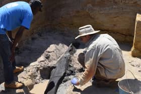 Archaeologists at the University of Liverpool and Aberystwyth University have discovered the world’s oldest wooden structure.