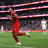 Luis Diaz of Liverpool reacts after a goal was rules offside during the Premier League match between Tottenham Hotspur and Liverpool FC. 