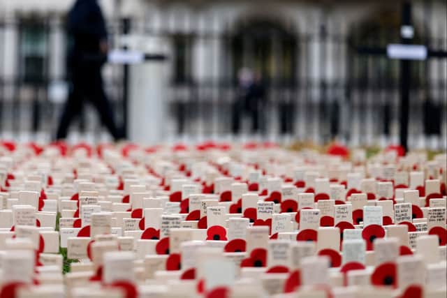 Armistice Day takes place on November 11 with Remembrance Sunday falling on November 12. Photo by TOLGA AKMEN/AFP via Getty Images