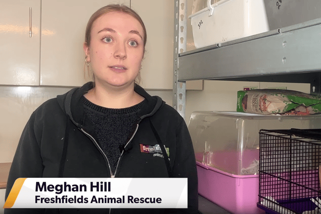Meghan Hill, Small Animal and Wildlife Carer at Freshfields Animal Rescue. Image: Emily Bonner