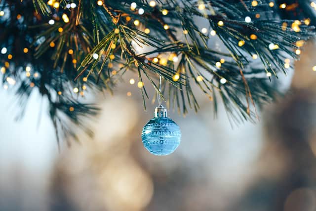 We take a look at some of the best places in Liverpool, Wirral, St Helens, Sefton and Knowsley where you can buy a real Christmas tree. Photo: Anastassiya  - stock.adobe.com