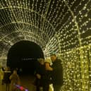 Knowsley Safari’s illuminated festive extravaganza, Enchanted runs until Saturday 30th December