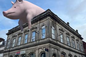 Giant pig appears on Bold Street. Photo: Naho Matsuda/Greenpeace
