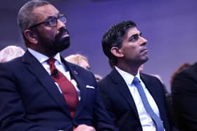 Home Secretary James Cleverly and Prime Minister Rishi Sunak. Photo: Getty Images

