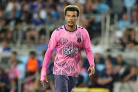Dele Alli. (Photo by David Berding/Getty Images)