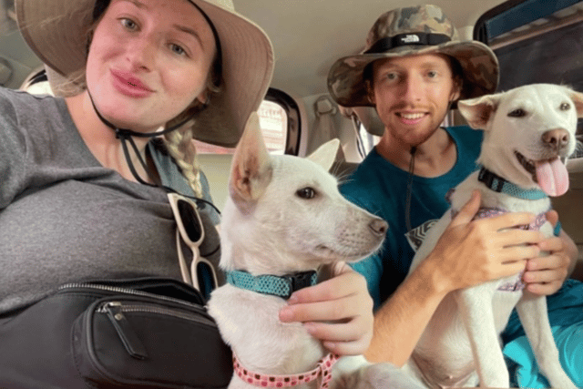 Chloe and James are hoping to raise awareness of the abuse street dogs face in Bali.