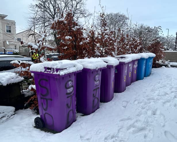 Bin collections have been cancelled in Liverpool due to snow and ice. Image: Sadie Gilbert