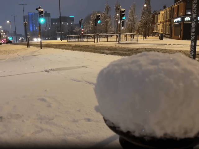 Snow falls in Liverpool on Tuesday morning. Image: Alice Oliver
