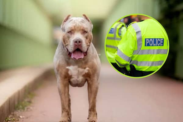 A man and a woman have been arrested after an 8-year-old boy suffered 'life-changing' injuries after being attacked by a dog believed to by an XL Bully.