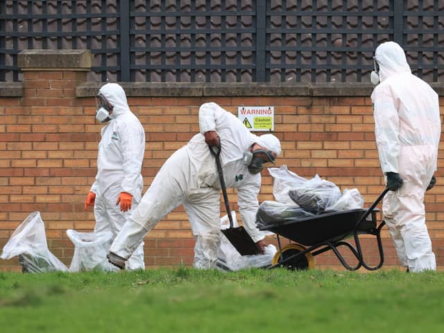 A specialist team brought in to clean up an ‘unknown white substance’ that poisoned and killed two dogs near homes and a children’s playground in Liverpool have begun digging up the park land where it was found. Image: Ian Fairbrother
