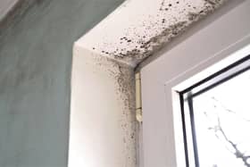 A local woman is concerned about black mould in her home. Image by Fevziie via stock.adobe.com - illustrative purposes only.