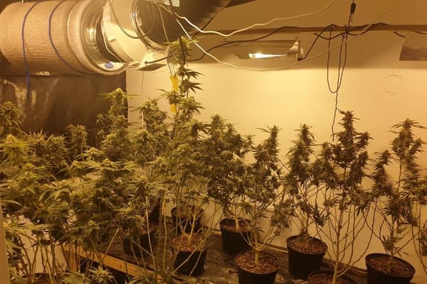 The cannabis farm found on Craigs Road, Liverpool.