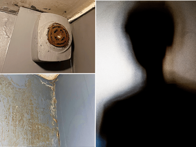 A silhouette of a woman and pictures taken in the mouldy flat. Images: Elliot Jessett & jirakit/stock.adobe
