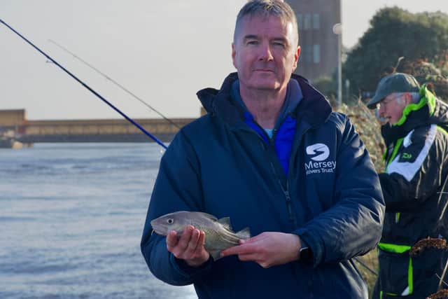 Mike Duddy, from the Mersey Rivers Trust, holding a freshly caught cod. Credit: Edward Barnes


